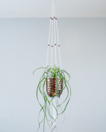 suspension macramé plante