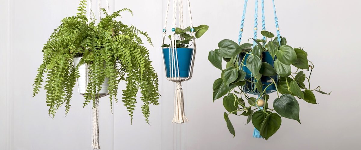 suspension pour plante en macramé