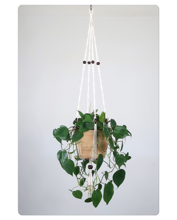 Suspension en macramé pour plante