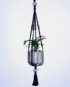 petite suspension pour plante