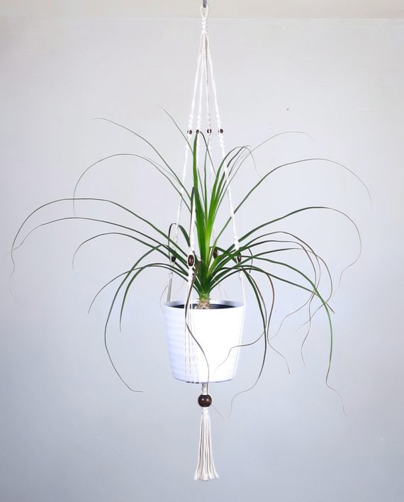 Suspension macramé pour plante d'intérieur